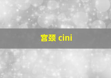 宫颈 cini